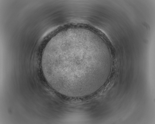 X0000113900919200910151352