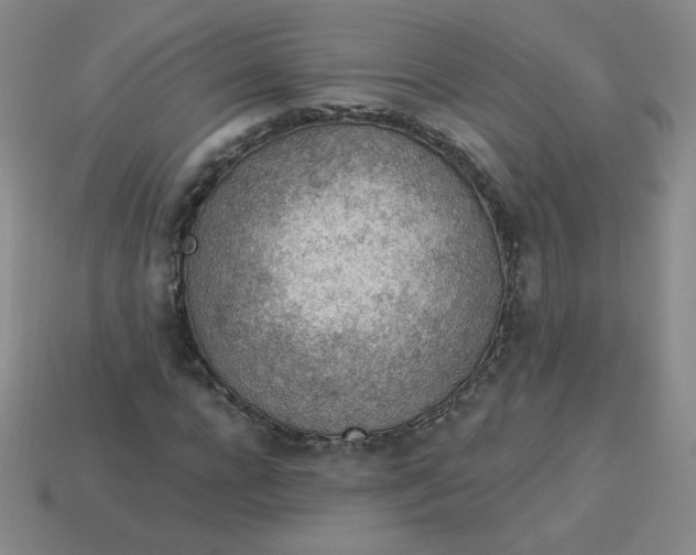 X0000113900920200910151352