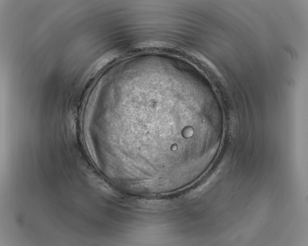 X0000113900921200910151352