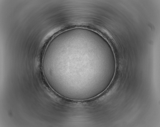 X0000113900922200910151352