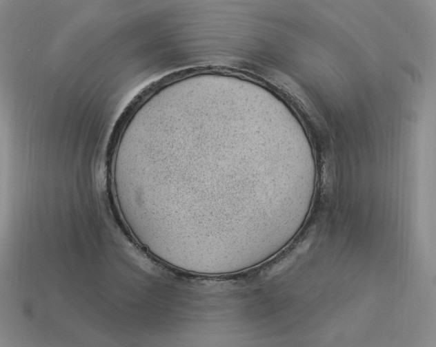 X0000113900924200910151352