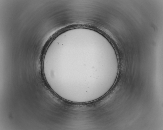 X0000113900927200910151352