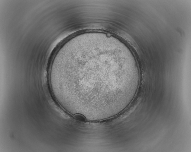 X0000113900928200910151352