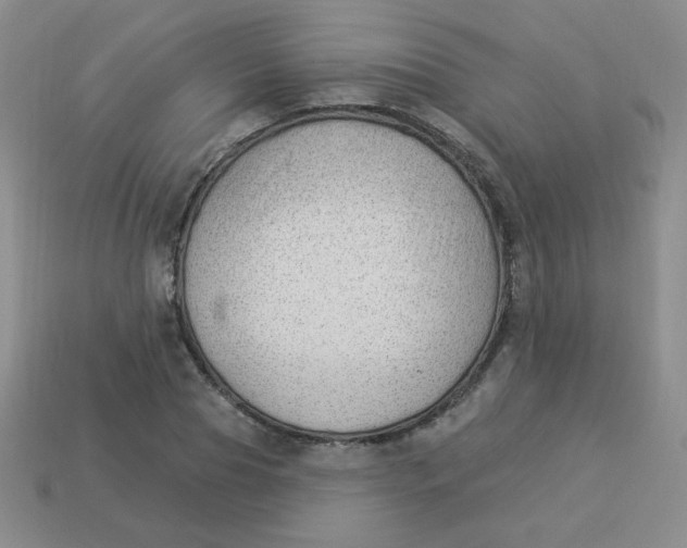 X0000113900929200910151352