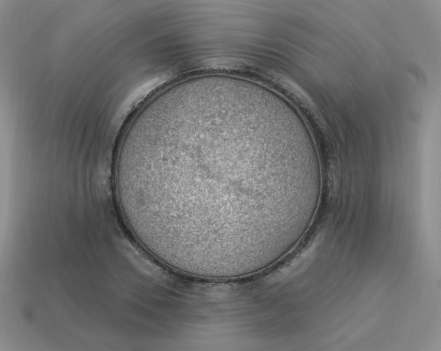 X0000113900930200910151352