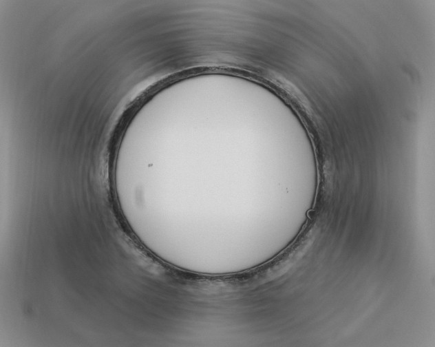 X0000113900931200910151352