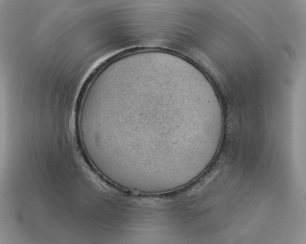 X0000113900932200910151352