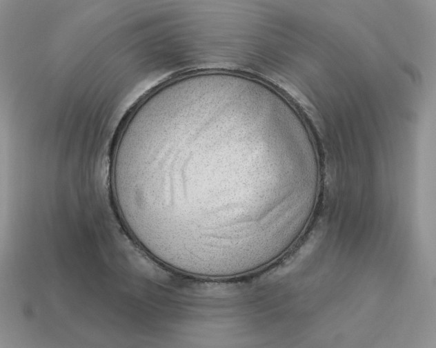 X0000113900933200910151352