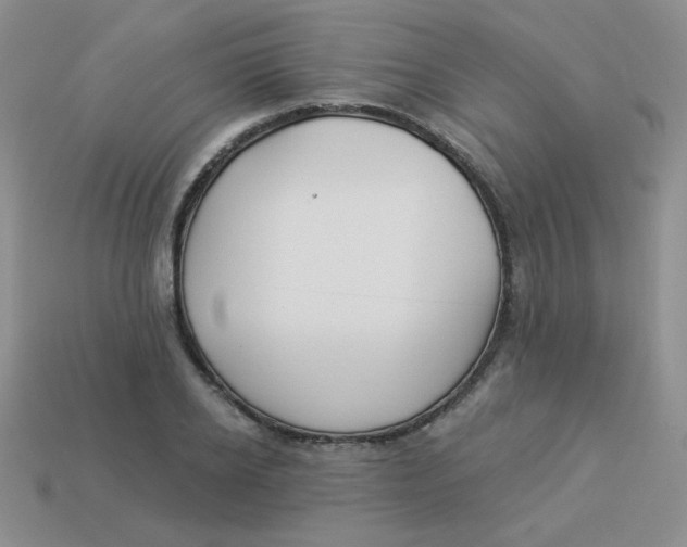 X0000113900934200910151352