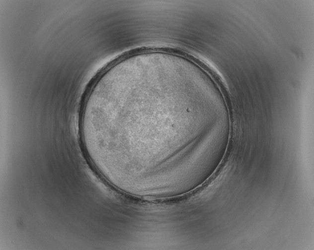 X0000113900935200910151352