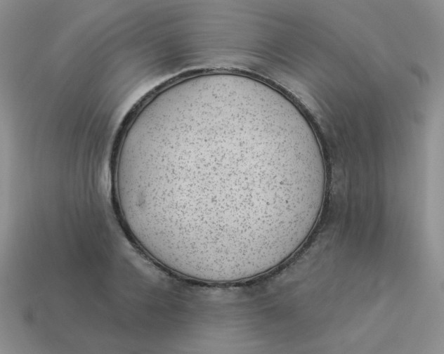 X0000113900936200910151352