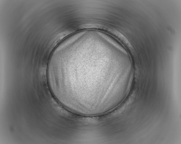 X0000113900937200910151352