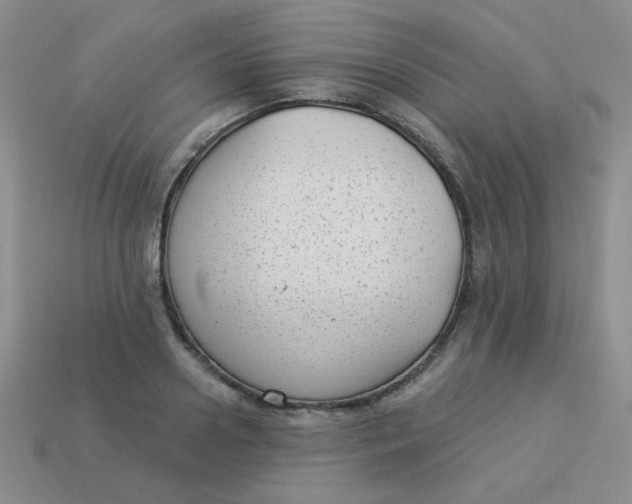 X0000113900938200910151352