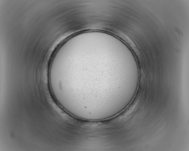 X0000113900939200910151352