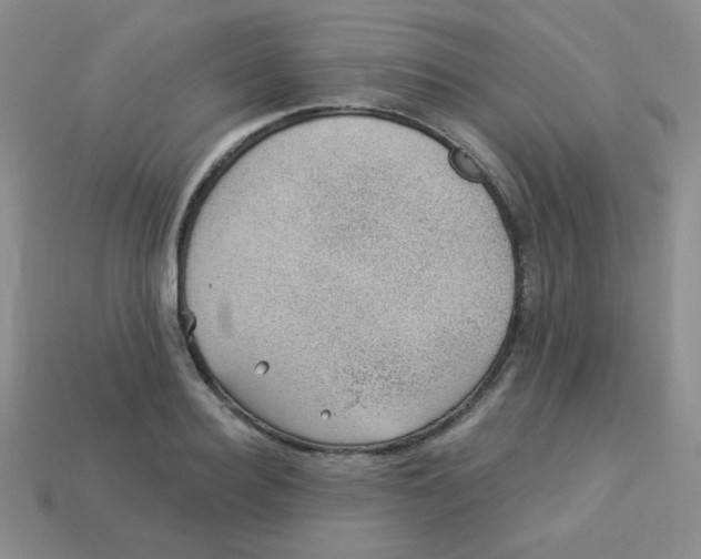 X0000113900940200910151352