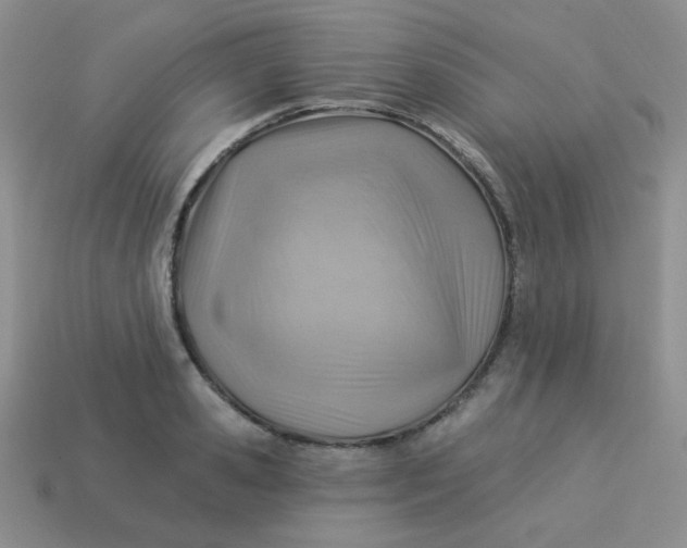 X0000113900941200910151352