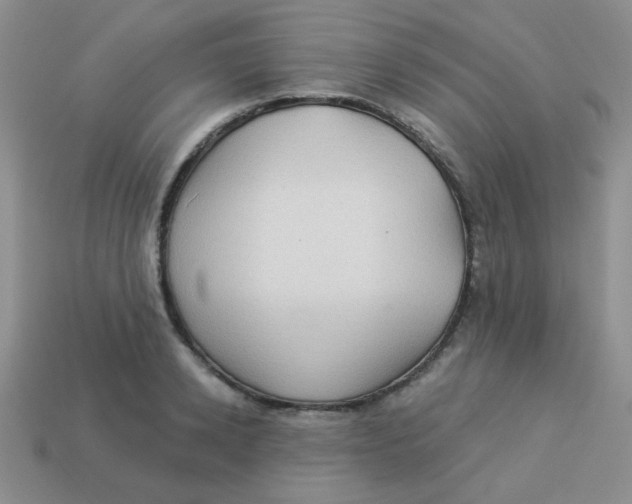 X0000113900942200910151352