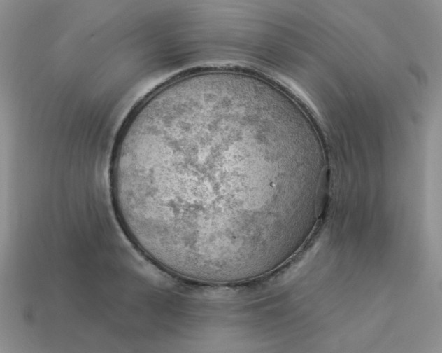 X0000113900943200910151352