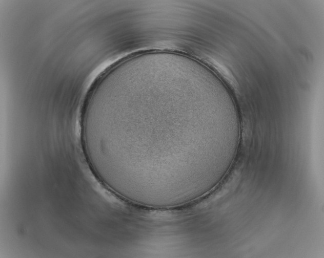 X0000113900944200910151352