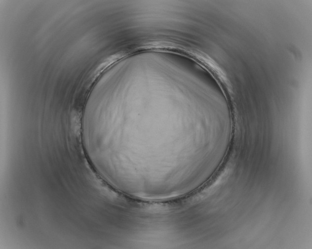 X0000113900945200910151353