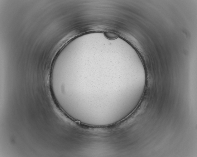 X0000113900946200910151353