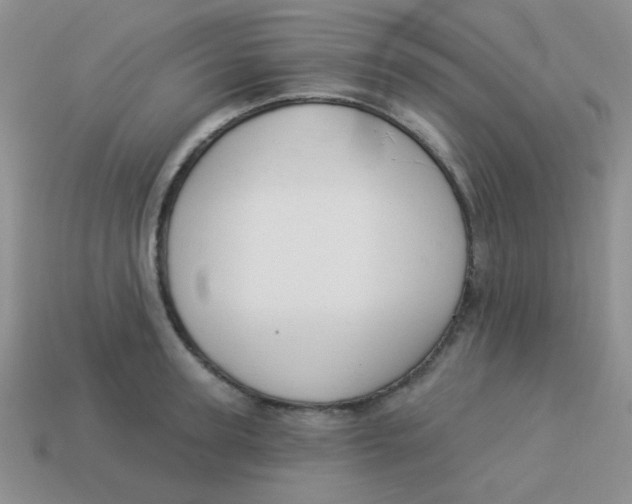 X0000113900947200910151353