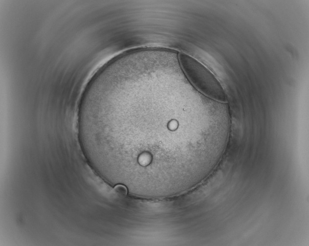 X0000113900948200910151353