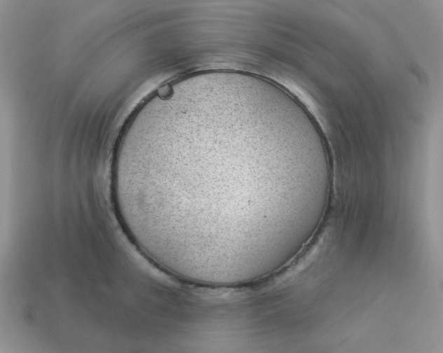 X0000113900949200910151353