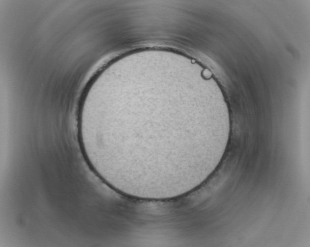 X0000113900950200910151353