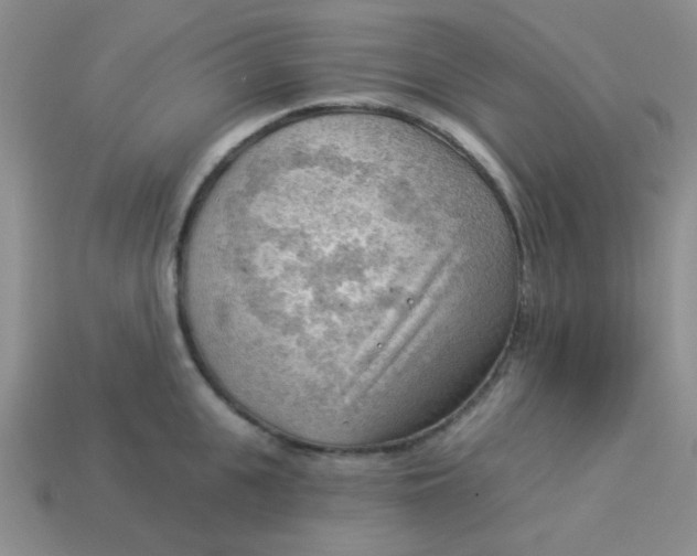 X0000113900951200910151353