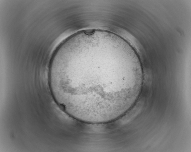 X0000113900952200910151353