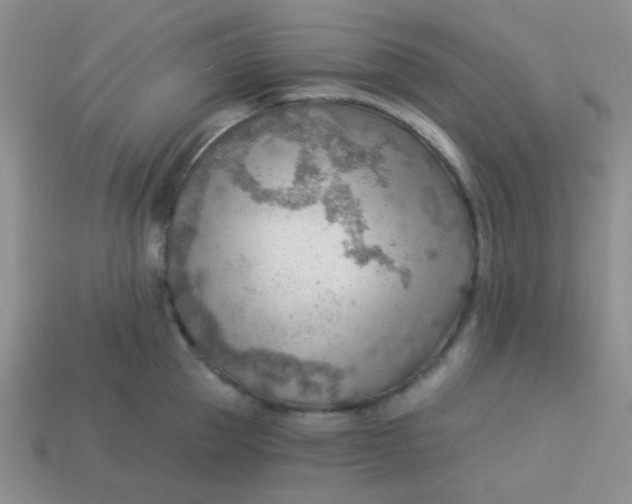 X0000113900953200910151353