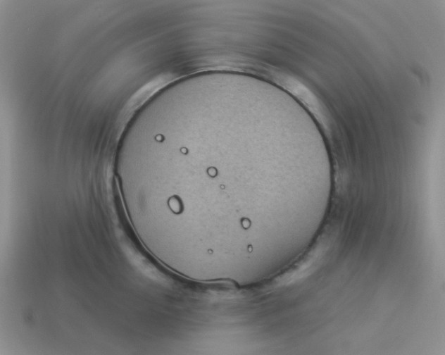 X0000113900954200910151353