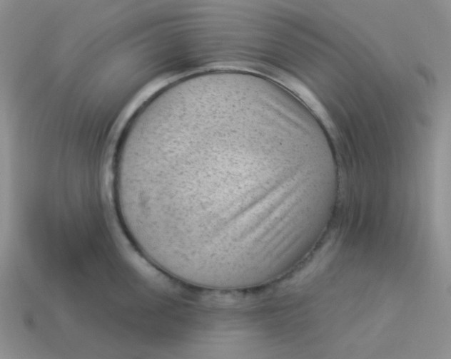 X0000113900955200910151353