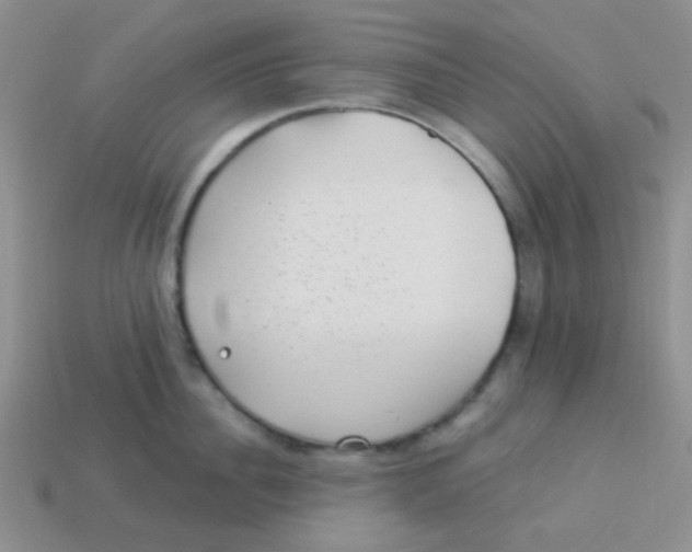 X0000113900956200910151353