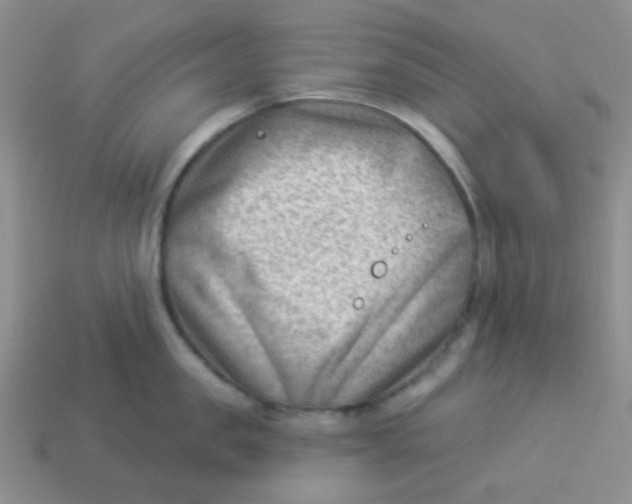 X0000113900957200910151353