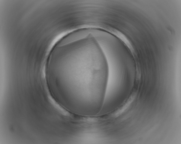 X0000113900958200910151353