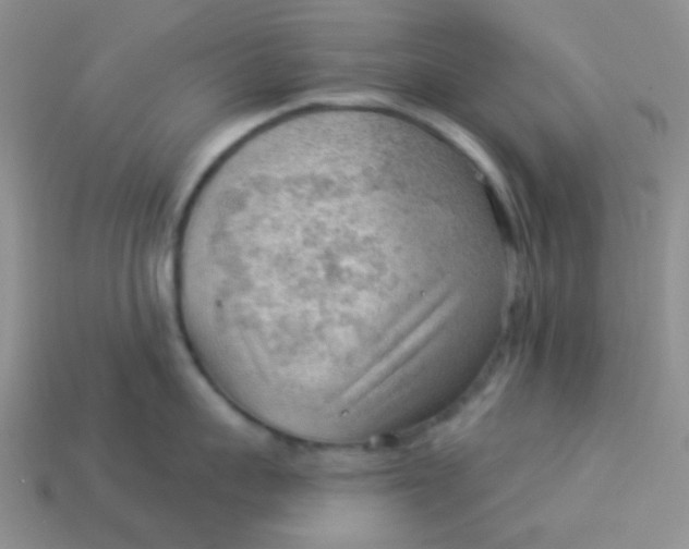 X0000113900959200910151353