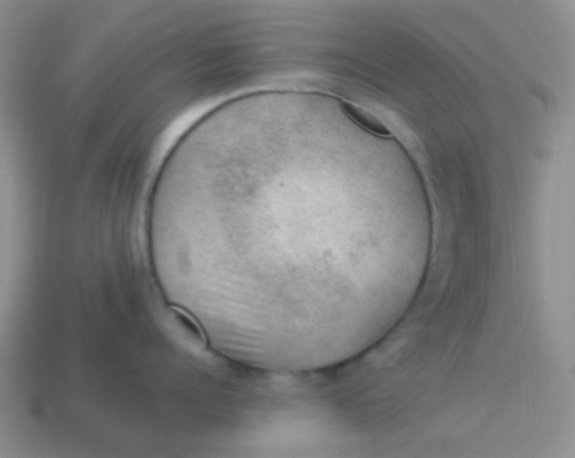 X0000113900960200910151353