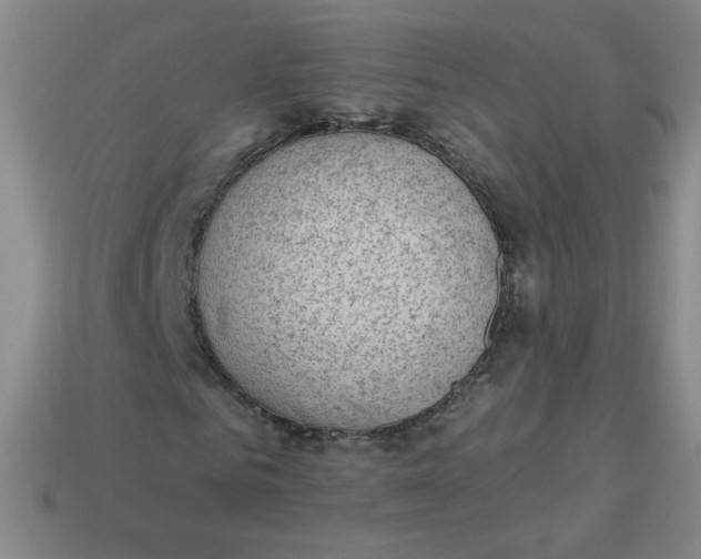 X0000113900961200910151352