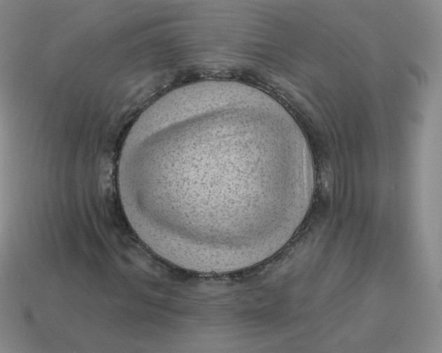 X0000113900964200910151352