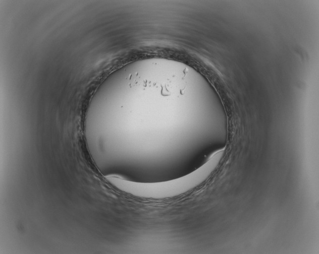 X0000113900965200910151352