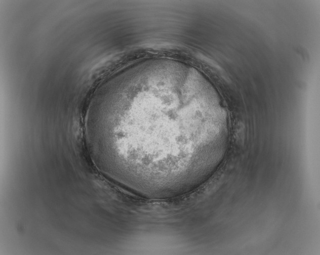 X0000113900966200910151352