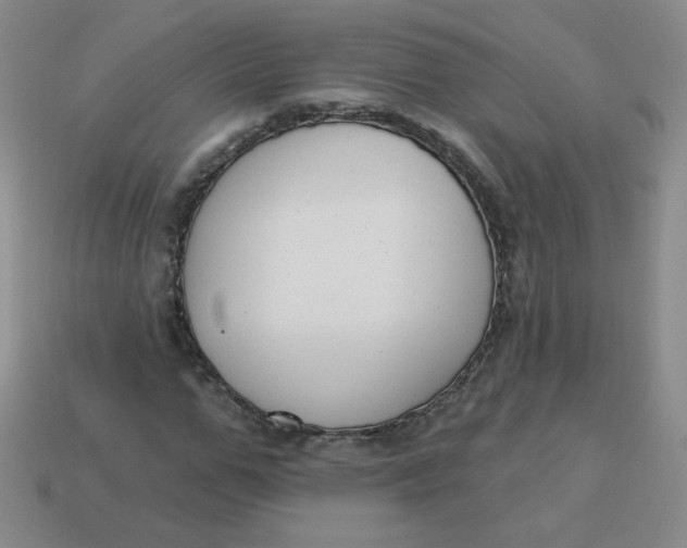 X0000113900967200910151352