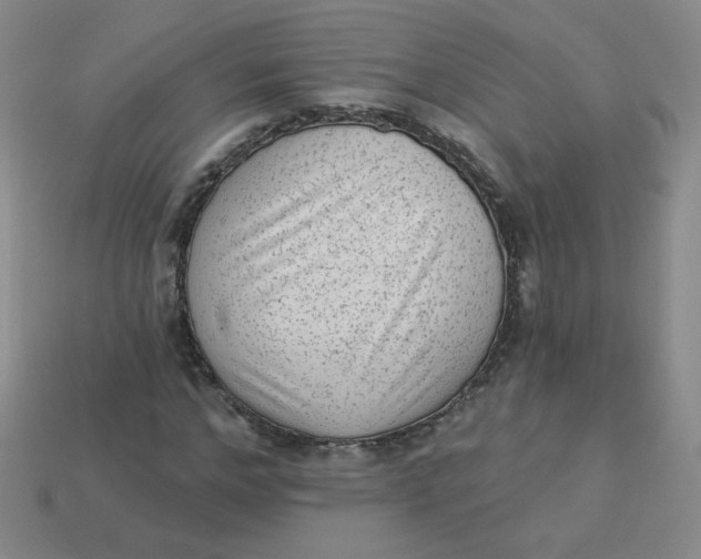 X0000113900968200910151352