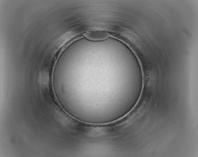 X0000113900969200910151352