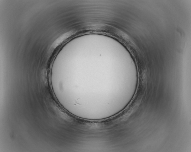 X0000113900970200910151352