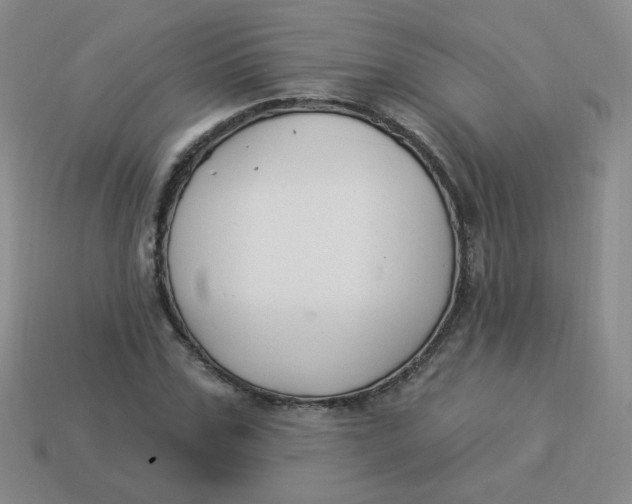 X0000113900971200910151352