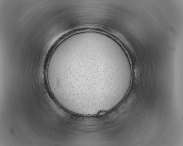 X0000113900972200910151352