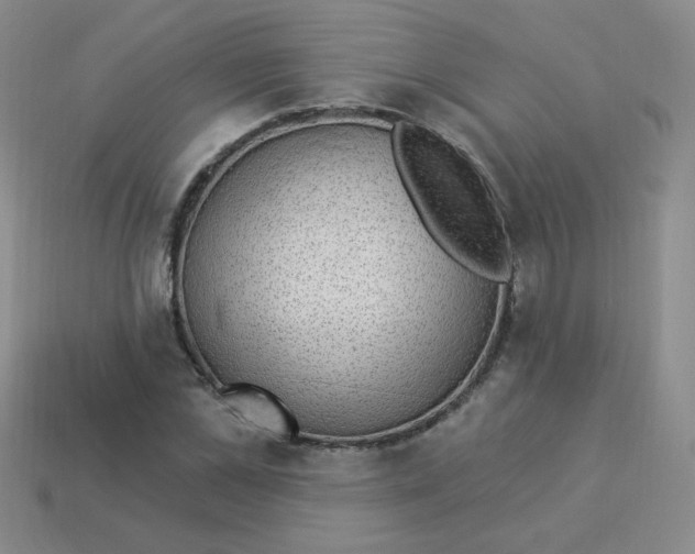 X0000113900973200910151352